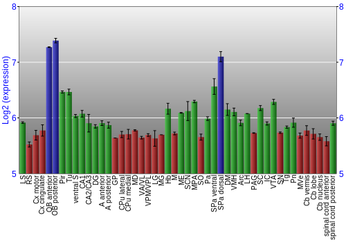 Multi-state expression graph