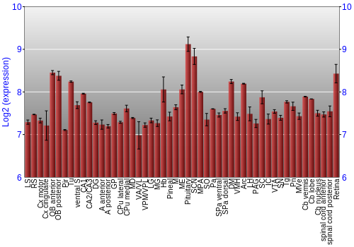 Expression graph