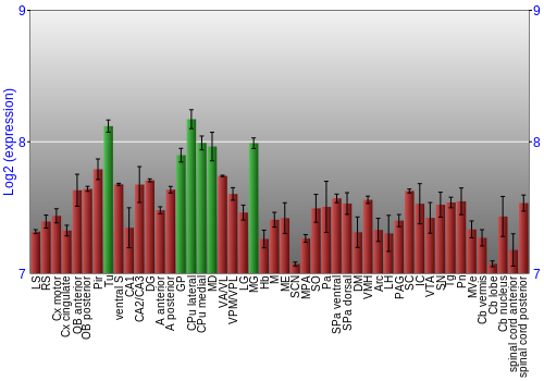 Multi-state expression graph