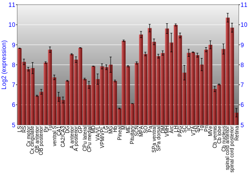 Expression graph