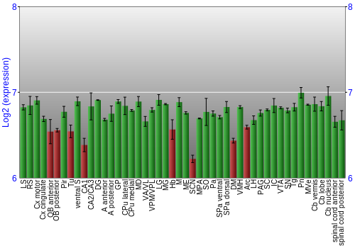 Multi-state expression graph