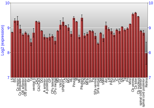 Expression graph