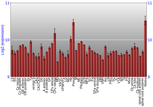 Expression graph