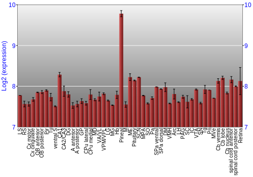 Expression graph