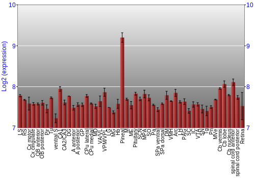 Expression graph