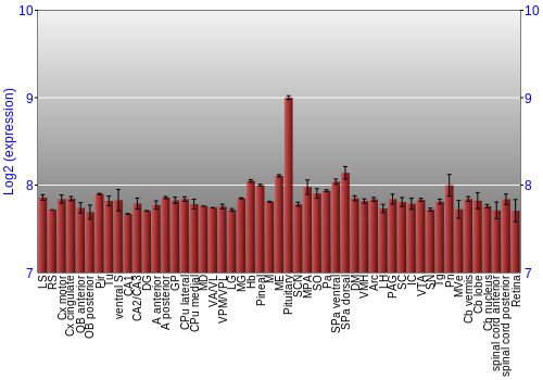 Expression graph