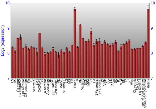 Expression graph