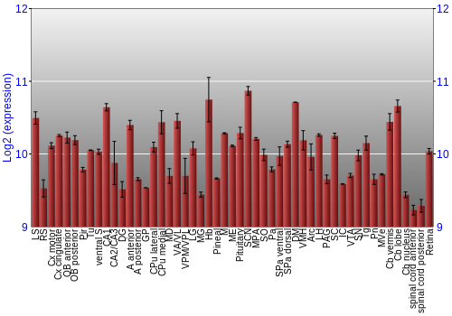 Expression graph