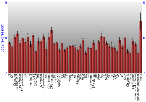 Expression graph
