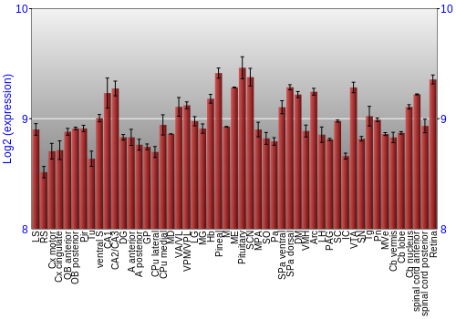 Expression graph