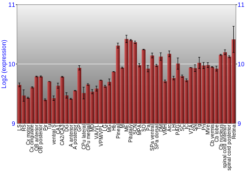 Expression graph