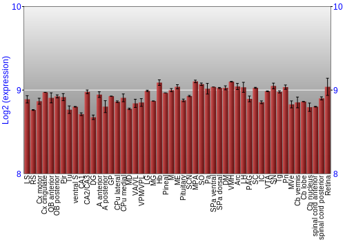 Expression graph