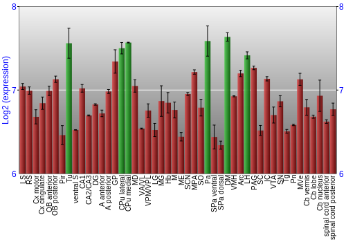 Multi-state expression graph