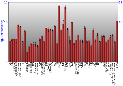 Expression graph