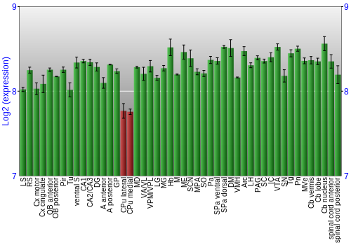 Multi-state expression graph
