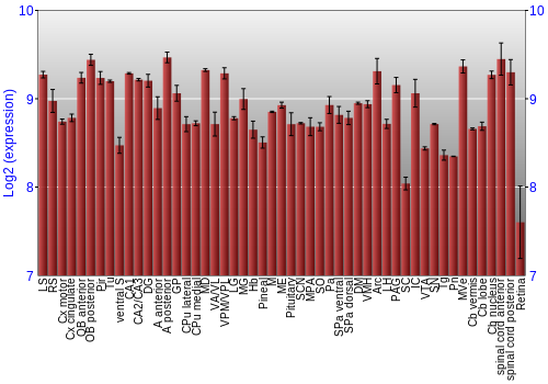 Expression graph