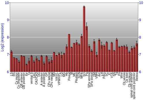 Expression graph