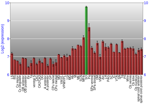 Multi-state expression graph