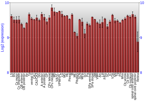 Expression graph