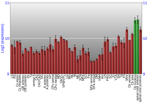Multi-state expression graph