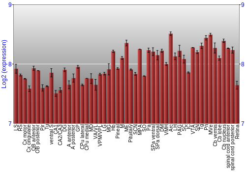 Expression graph