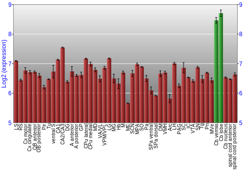 Multi-state expression graph