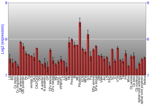 Expression graph