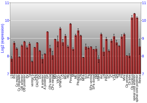 Expression graph