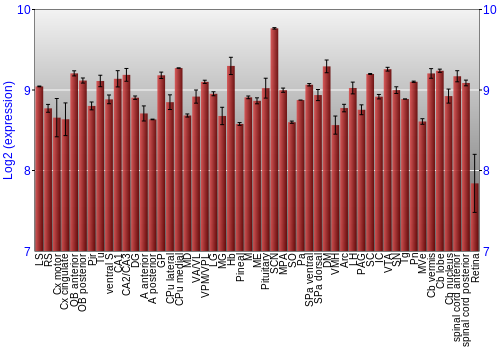 Expression graph