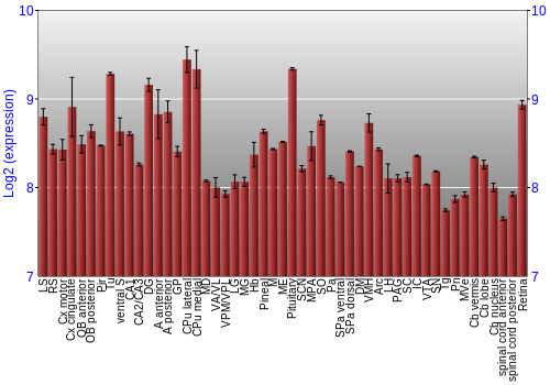 Expression graph