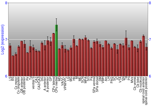 Multi-state expression graph