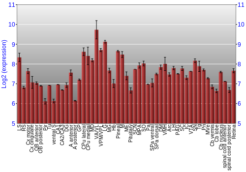 Expression graph