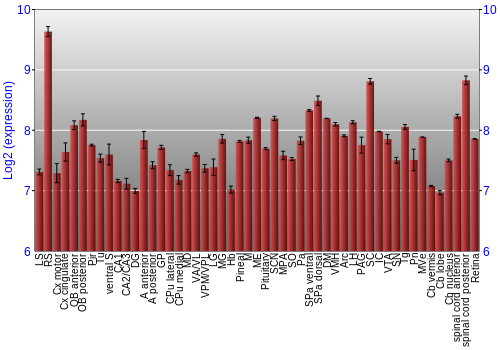 Expression graph