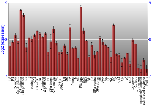Expression graph