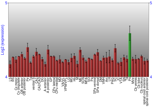 Multi-state expression graph