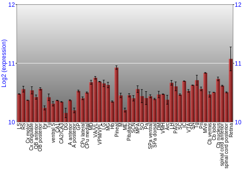 Expression graph