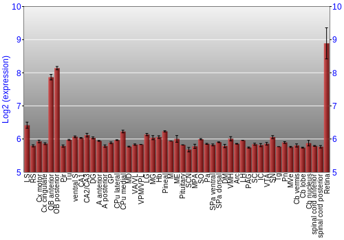 Expression graph