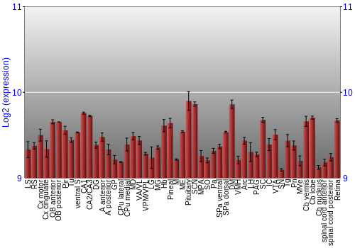 Expression graph