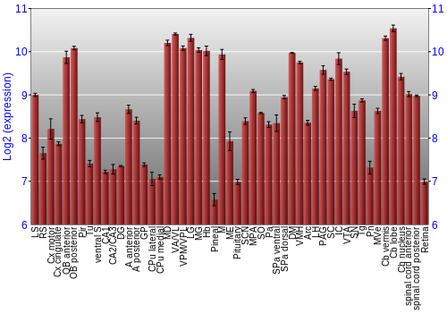Expression graph