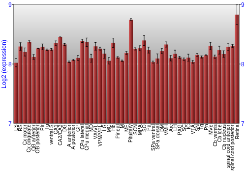 Expression graph