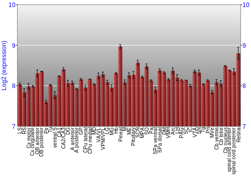 Expression graph
