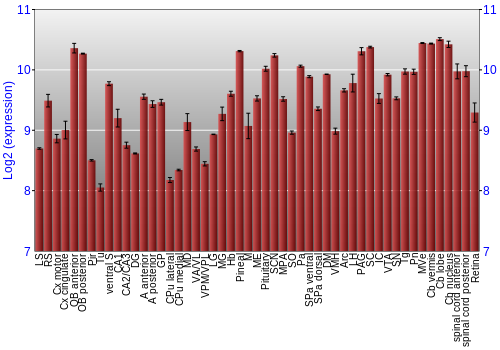 Expression graph
