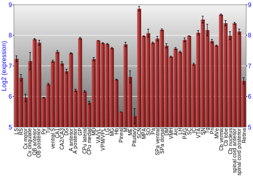 Expression graph