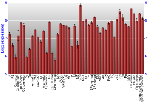 Multi-state expression graph