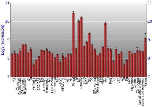Expression graph