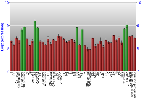 Multi-state expression graph