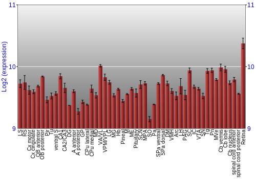 Expression graph