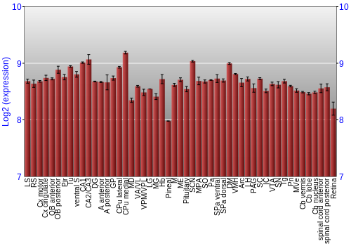 Expression graph