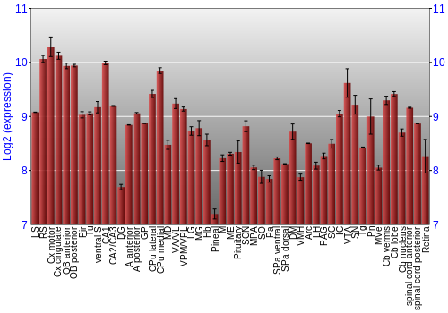 Expression graph