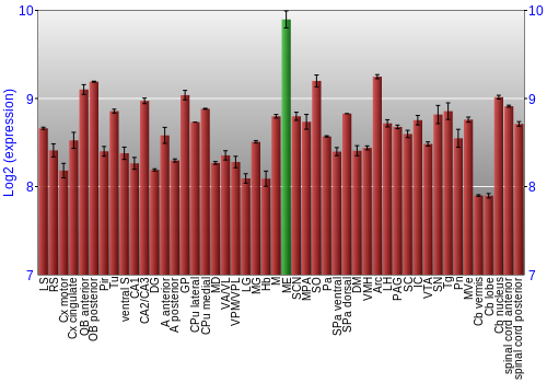 Multi-state expression graph
